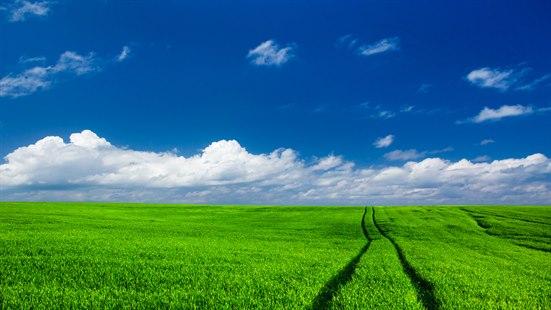 Bilde av gresslette mot blå himmel.