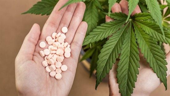 Cannabis og medisin