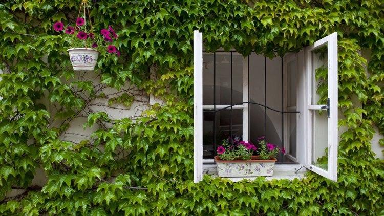 Illustrasjonsfoto: Colourbox