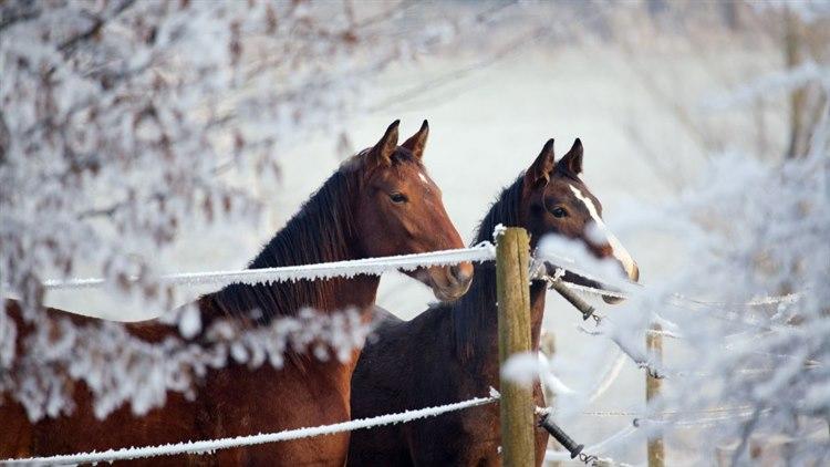Illustrasjonsfoto: Colorbox