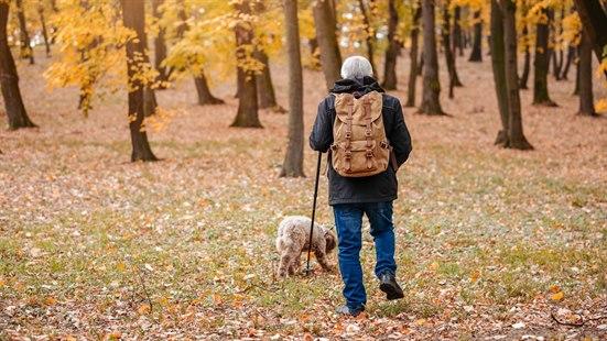 Illustrasjonsfoto viser en eldre mann som går tur i skogen på høsten,med hunden sin