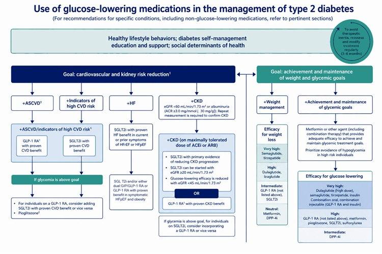 Figuren viser et forenklet utdrag fra behandlingsalgoritmen ved diabetes type 2 hentet fra ADA Standard of Care 2026