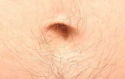 Male hairiness, bellybutton