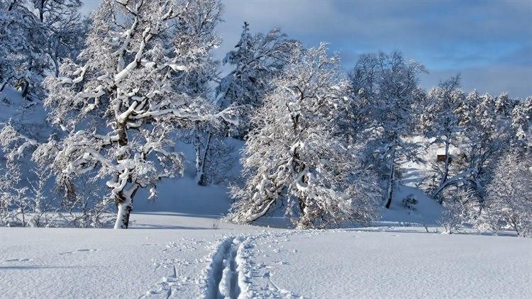 Illustrasjonsfoto: Colourbox