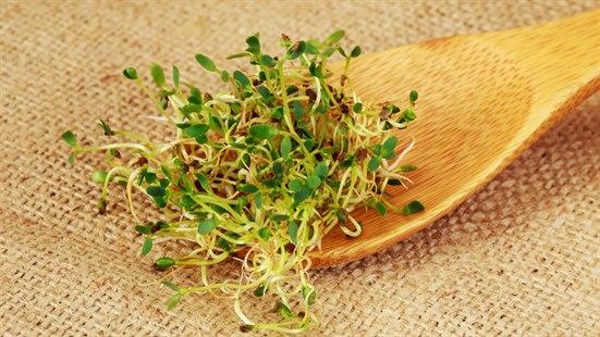 Illustrasjonsfoto av brokkolispirer som ligger på ei tresleiv.