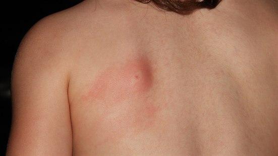 Bildequiz uke 22v2.jpg