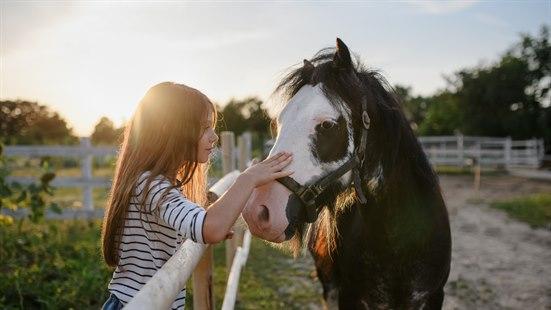 Illustrasjonsfoto av ei jente som klapper en hest. 
