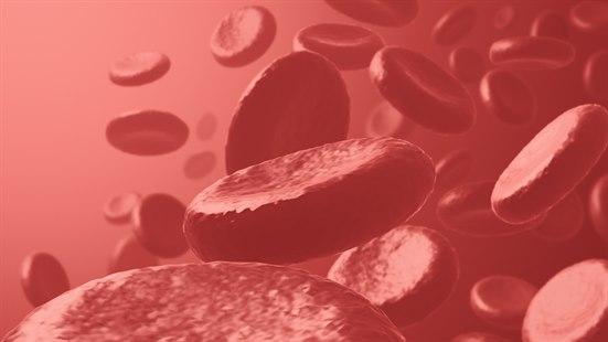 Illustrasjonsfotoet viser røde blodceller