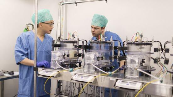 Fedmeforskning ved NTNU