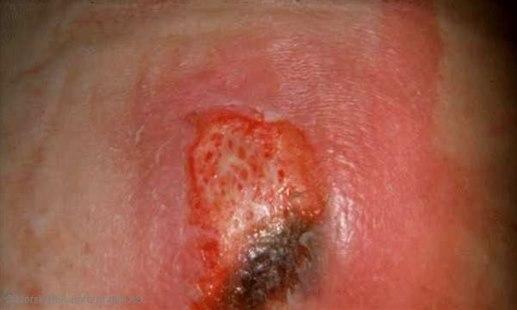 Bildequiz uke 34.jpg