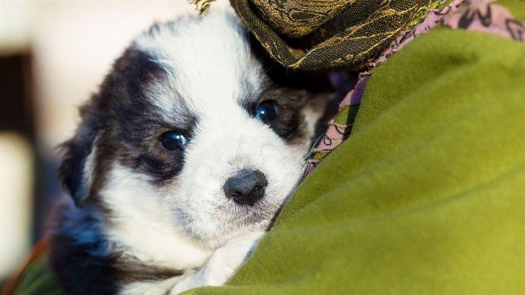 Illustrasjonsfoto: Colourbox