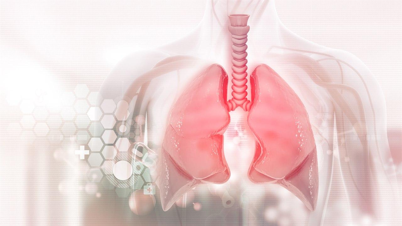 Illustrasjonsfotoet viser en utsnitt av lungene