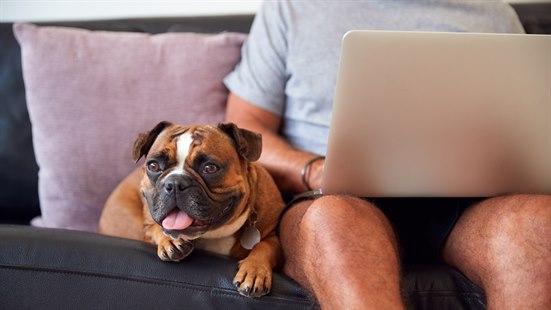 Anonym mann med laptop