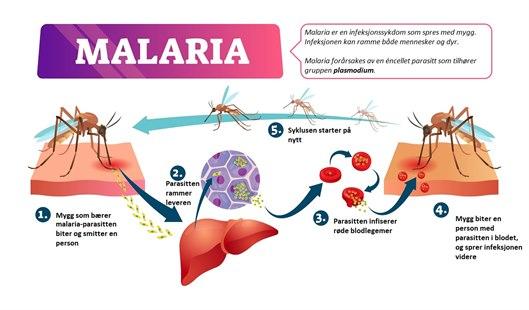Malaria