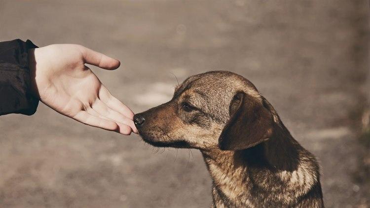 Illustrasjonsfoto: Colourbox