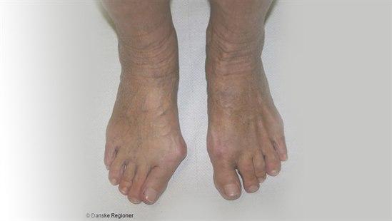 Bildequiz uke 47.jpg