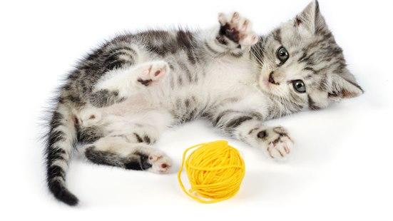 Illustrasjonsfotoet viser en kattunge som ligger på siden og strekker seg mot et gult garnnøste 