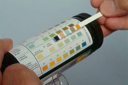 Urinstix positiv for blod