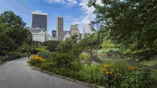 Illustrasjonsfoto: Parkvei med blomster i forgrunnen og høyblokker i bakkant (Central park).