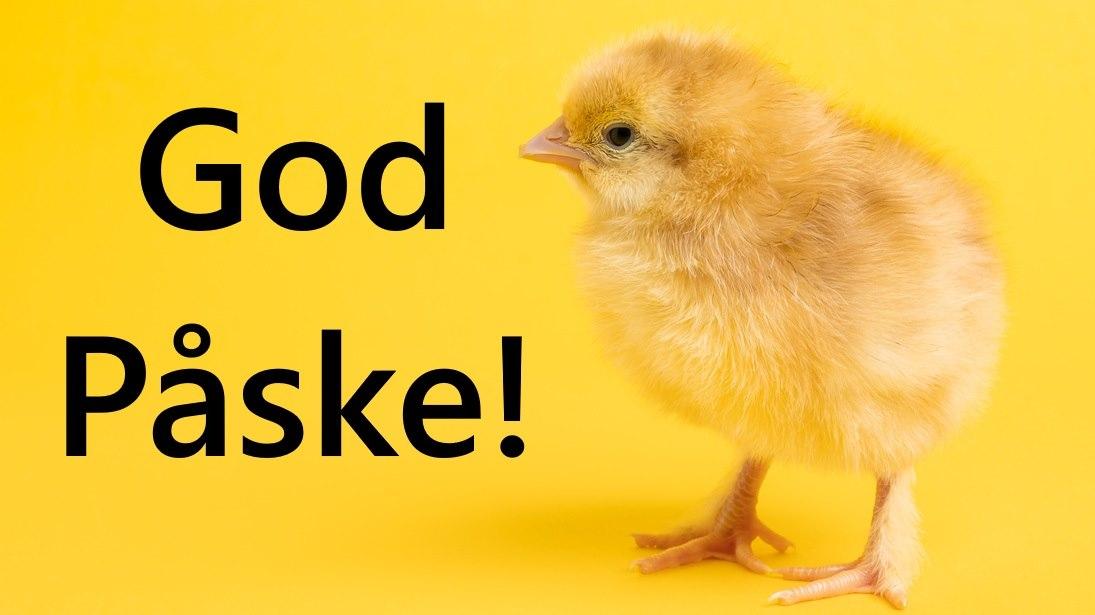 Påskequiz ingress med påskehilsen, kyllinger og en liten rebus