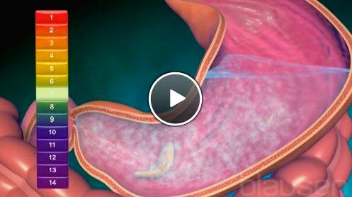 syrenøytraliserende