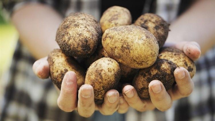 Illustrasjonsfoto: Colourbox