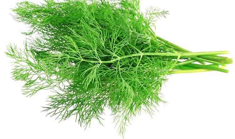 Dill