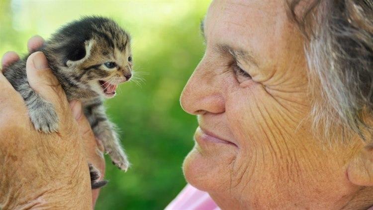 Illustrasjonsfoto: Colourbox