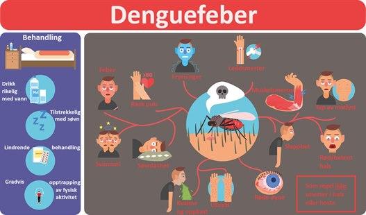 Tegning som viser typiske symptomer ved denguefeber (influensaliknende - høy feber, frysninger, hodepine, lysskyhet, smerter bak øynene, hudutslett, muskel- og leddsmerter. Fravær av sår hals og hoste)