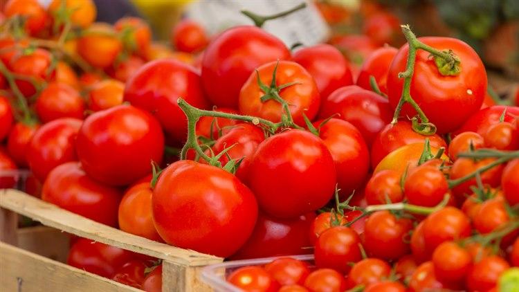 Illustrasjonsfoto av tomat.