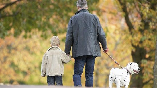 Illustrasjonsfoto av en mann leier en gutt i den ene hånda og holder en hund i bånd i den andre. Gutten og mannen vises bakfra. 
