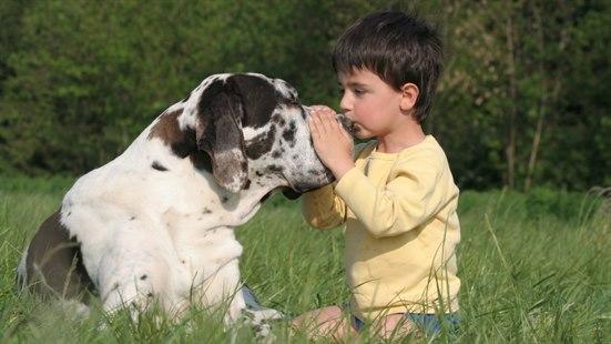 hund og barn