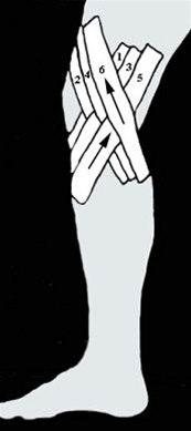 Kneleddsteiping bilde#1