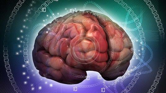 Illuastasjonsbilde av en hjerne 