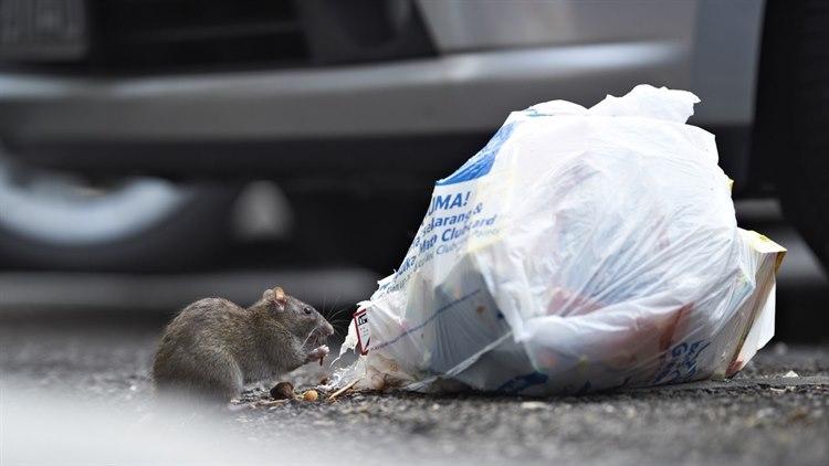 Illustrasjonsfoto: Colourbox