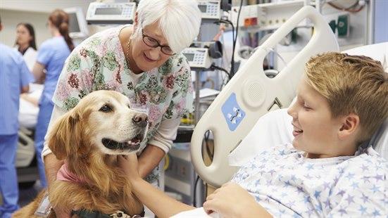 Illustrasjonsbilde av en gutt som ligger i sykesenga og får besøk av en hund og eieren av hunden.