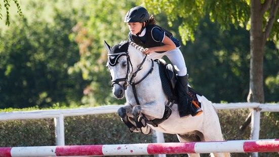 Sikkerhetsutstyr ved ridning