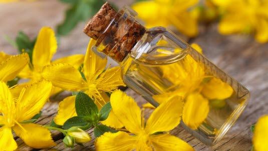 Illustrasjonsfotoet viser johannesurten og en flaske