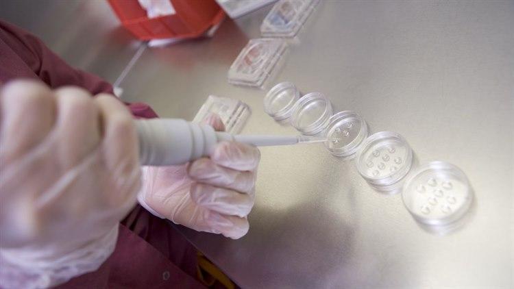 Illustrasjonsfoto: Colourbox