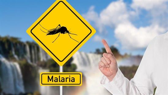 Malaria