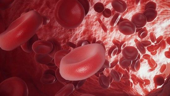 Artär, blodkropp, mostphotos