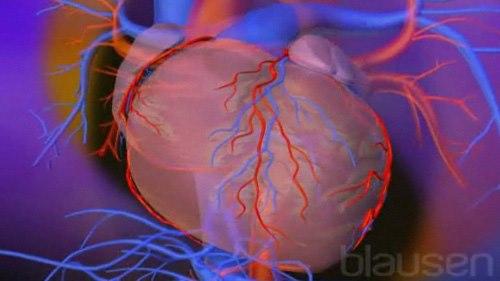 Hjerte med omgivende perikard