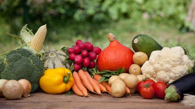 Illustrasjonsfoto av flere grønnsaker stilt opp i en linje som brokkoli, gulrøtter, tomater og poteter. Grønnsakene ligger på et bord i en hage.