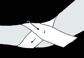 Albuestøtte bilde#2