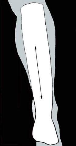 Hælsenestøtte bilde#1