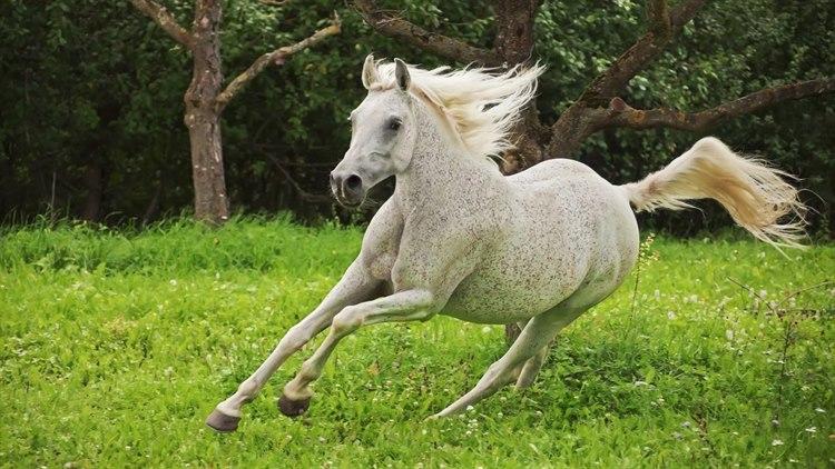 Illustrasjonsfoto: Colourbox