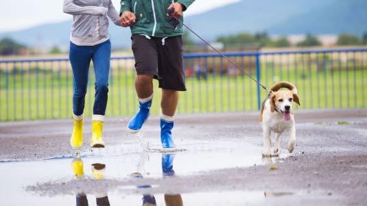 Stillesitting, aktivitet