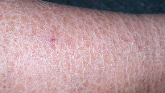 Bildequiz uke 38.jpg