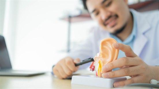 Illustrasjonsfotoet viser en lege som holder frem en modell av et øre