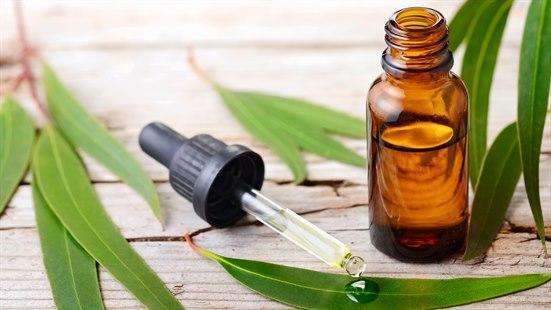 Illustrasjonsfotoet viser eucalyptusblader og en krukke med olje